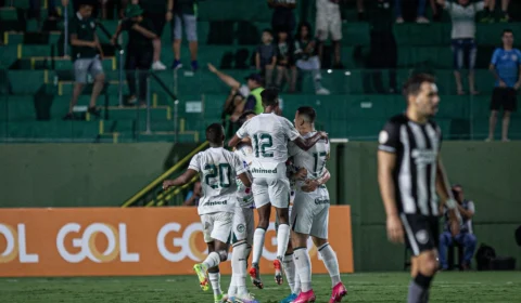 Botafogo perde para Goiás e quebra 100% de aproveitamento no Brasileirão