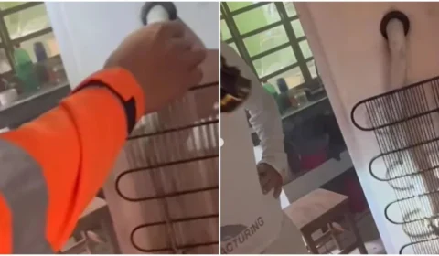 VÍDEO: homem vê cobra em vez de mangueira em geladeira e aciona bombeiros em MG