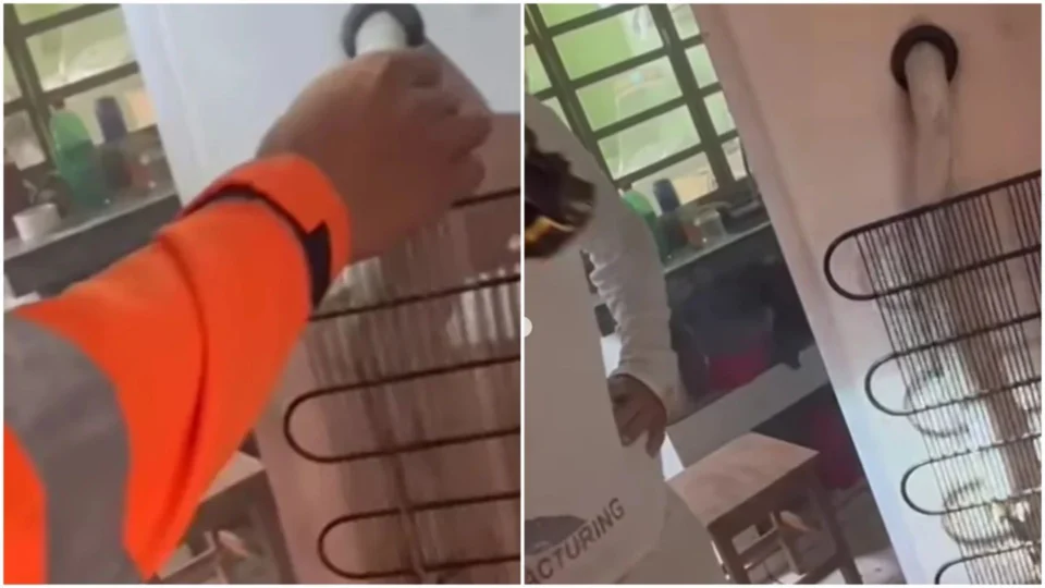 VÍDEO: homem vê cobra em vez de mangueira em geladeira e aciona bombeiros em MG