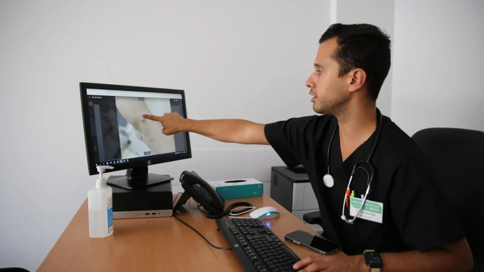 Mpox não é mais uma emergência de saúde pública, divulga OMS