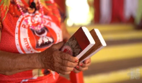 Descubra a origem das ‘palminhas’ do Festival Norte Bumbás; veja vídeo