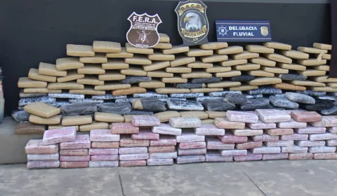 VÍDEO: polícia civil apreende cerca de meia tonelada de entorpecente no AM