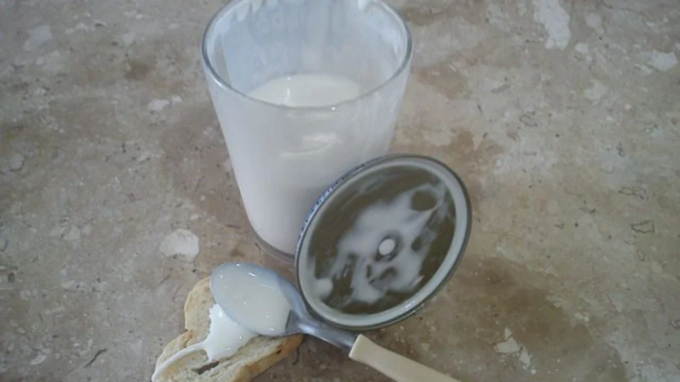 Amostras de requeijão de nove estados detectam fraude, divulga Mapa