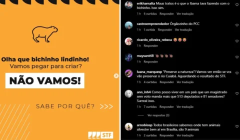 STF faz campanha contra tráfico de animais com imagem de capivara e revolta internautas