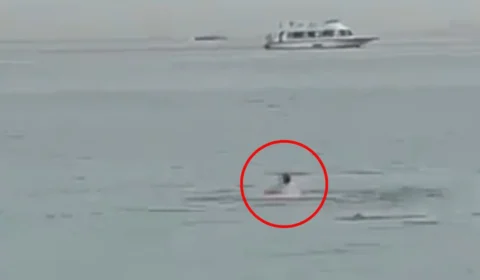 Vídeo: homem morre após ser atacado por tubarão no mar do Egito