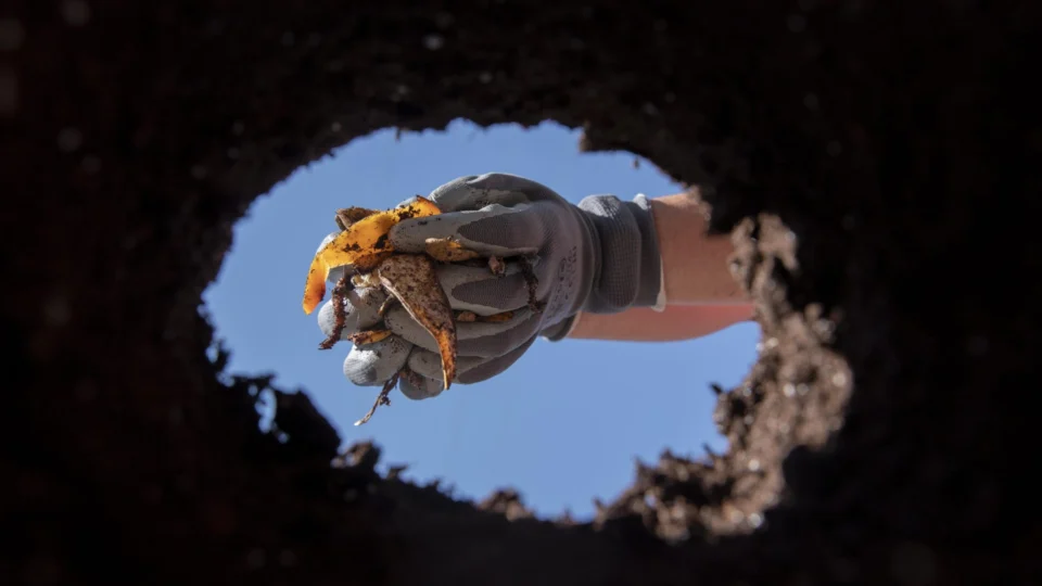 Estudo de CO2 diz que Brasil estoca o similar a 70 anos das emissões no solo
