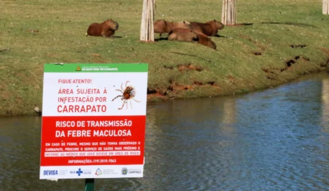 Febre maculosa: jovens de 23 e 24 anos morrem em Minas Gerais
