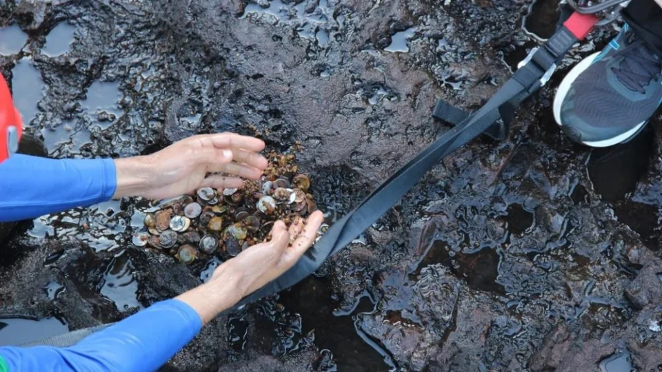 Coleta de moedas nas Cataratas do Iguaçu gera volume de mais de 150kg