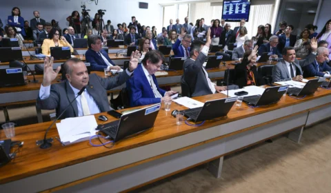 Marco fiscal é aprovado por comissão e segue para plenário do Senado