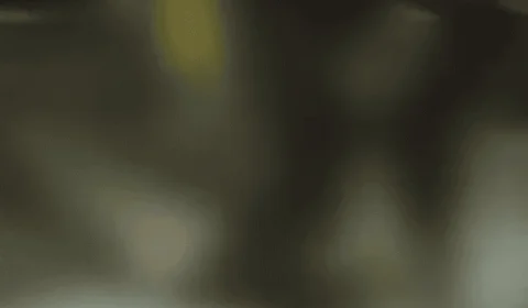 Vídeo: mulher é arrastada por seguranças em casa de shows em Goiás