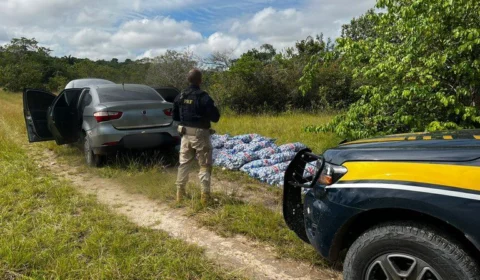 Após perseguição, polícia apreende 1 tonelada de alho de contrabando em RR