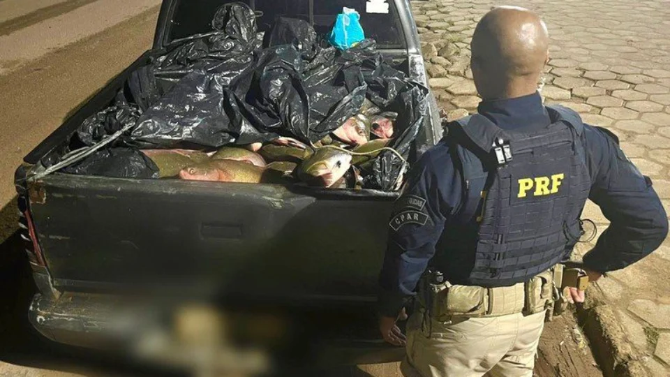 PRF flagra homens transportando 1 tonelada de peixe em Boa Vista-RR