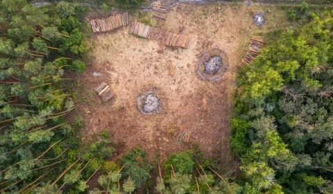 Mundo gasta trilhões com ações que pioram mudança climática, diz estudo