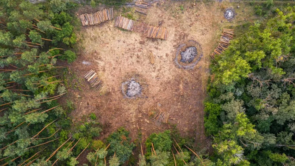 Mundo gasta trilhões com ações que pioram mudança climática, diz estudo