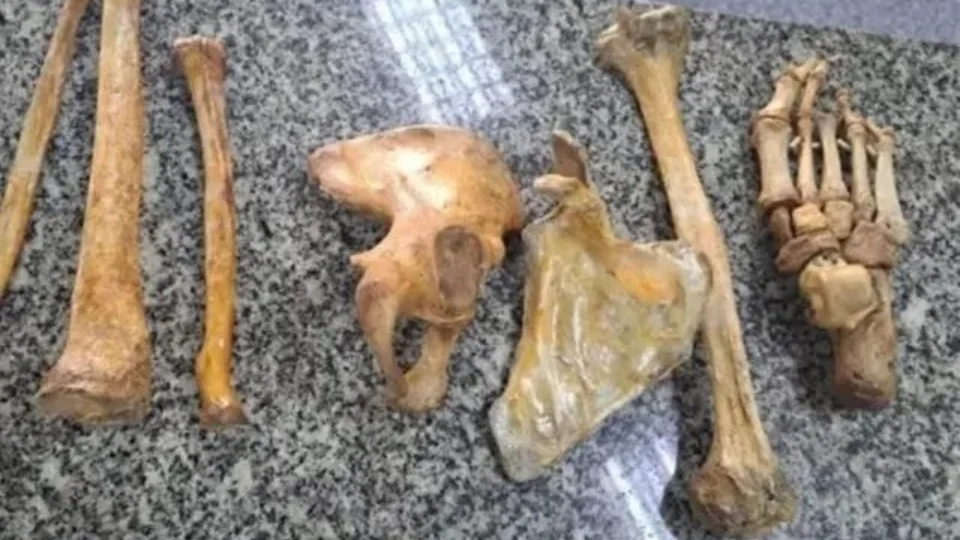 Comerciante é preso vendendo ossos humanos em barraca na Zona Norte do RJ