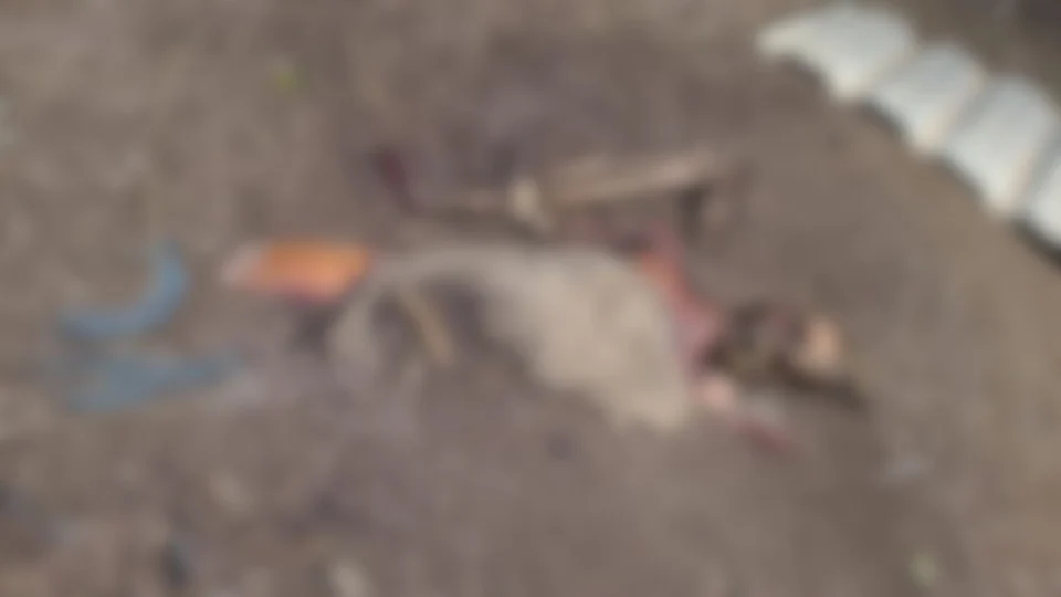 Corpos são encontrados em cova nos fundos de casa na Zona Leste de Manaus