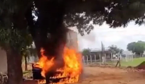 VÍDEO: homem destrói BMW com fogo após tentar matar abelhas, em MT