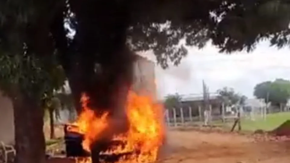 VÍDEO: homem destrói BMW com fogo após tentar matar abelhas, em MT