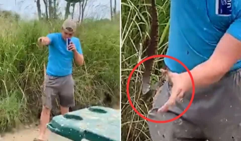 Vídeo: jovem brinca com cobra venenosa e é picado nos Estados Unidos