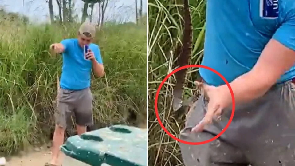 Vídeo: jovem brinca com cobra venenosa e é picado nos Estados Unidos