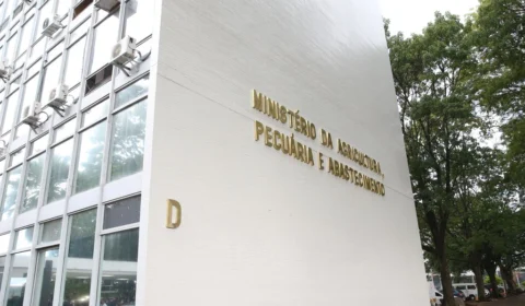 Gripe aviária em Minas Gerais não é grave, diz Mapa; há 19 casos confirmados