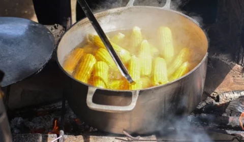 ‘Milho é rico em vitaminas e minerais’, diz nutricionista de RR