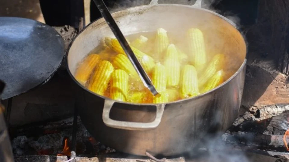 ‘Milho é rico em vitaminas e minerais’, diz nutricionista de RR