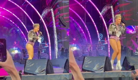 Vídeo: fã de Pink joga cinzas de mãe ao palco e surpreende cantora