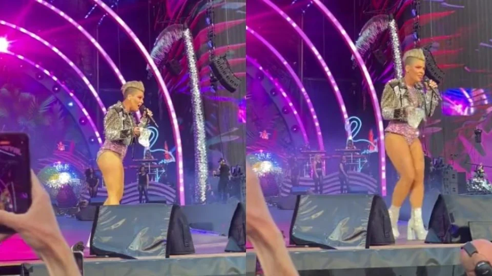 Vídeo: fã de Pink joga cinzas de mãe ao palco e surpreende cantora