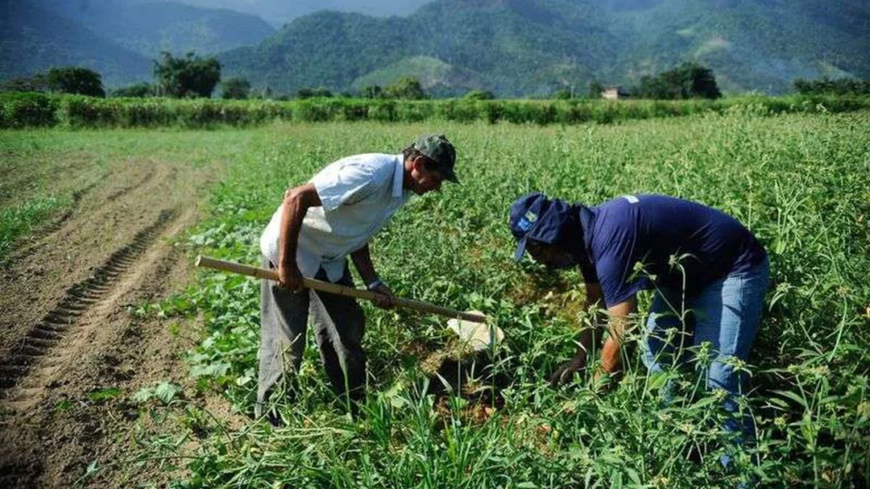 Governo federal divulga R$ 7,6 bilhões para Plano Safra e crédito rural