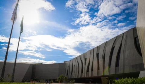 STJ autoriza que homem plante até 354 plantas de maconha para tratar ansiedade