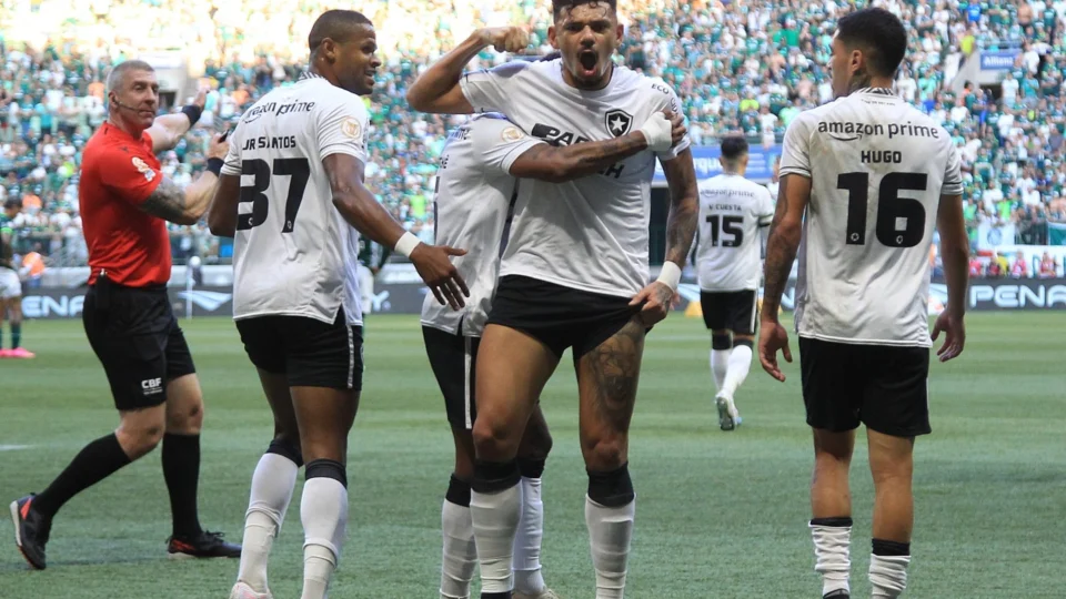 Tiquinho Soares decide, Botafogo vence o Palmeiras e amplia vantagem na liderança