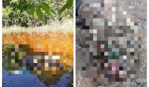 Com marcas de tortura, corpo de mulher é encontrado em ramal da AM-070