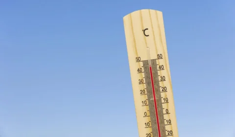 Calor no verão de 2022 matou mais de 60 mil pessoas na Europa, diz estudo