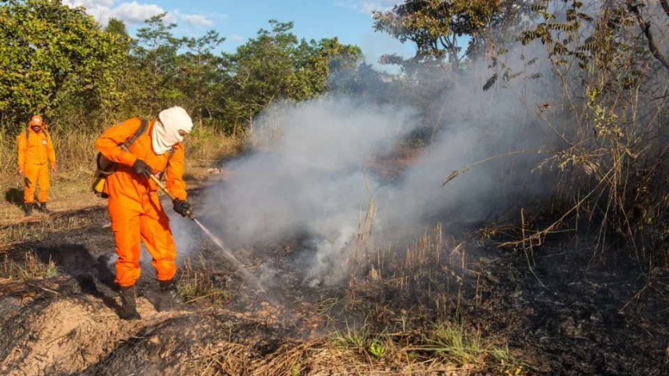 Aumento de brigadistas fortalecem combate às queimadas em Palmas-TO