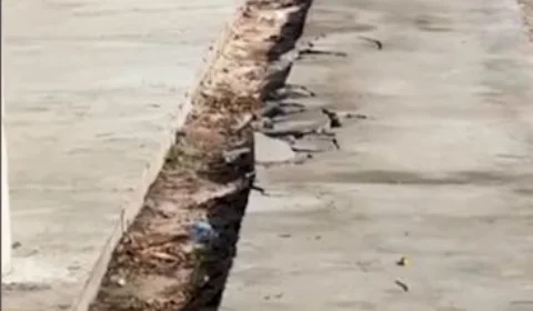 Ciclovia é quebrada para estacionamento ilegal na Zona Oeste de Manaus