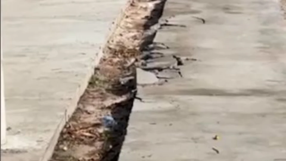 Ciclovia é quebrada para estacionamento ilegal na Zona Oeste de Manaus