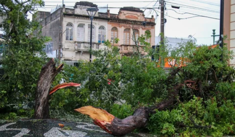 Ciclone: idosa morre eletrocutada e jovem atingida por tronco em São Paulo