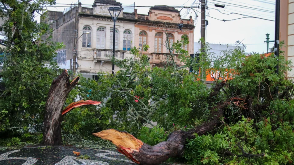 Ciclone: idosa morre eletrocutada e jovem atingida por tronco em São Paulo