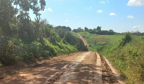 Mulher é morta a golpes de foice pelo marido no interior do Acre