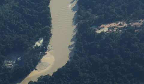 Garimpeiro se entrega à Força Nacional na Terra Yanomami, em RR