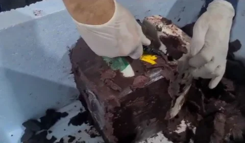 ‘Supermaconha’ é encontrada em polpa de açaí congelado no aeroporto de Manaus