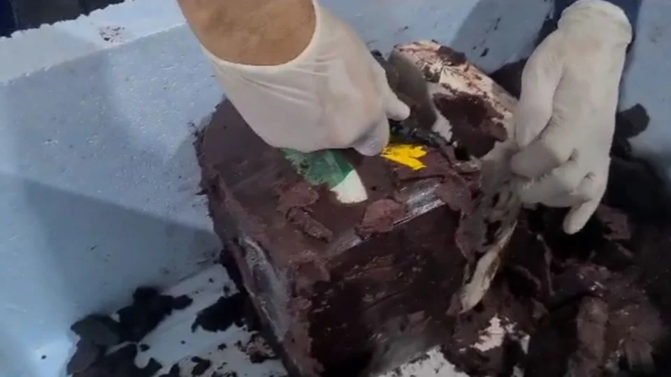 ‘Supermaconha’ é encontrada em polpa de açaí congelado no aeroporto de Manaus