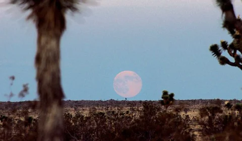 Mês de agosto chega no calendário astronômico com duas superluas; veja datas