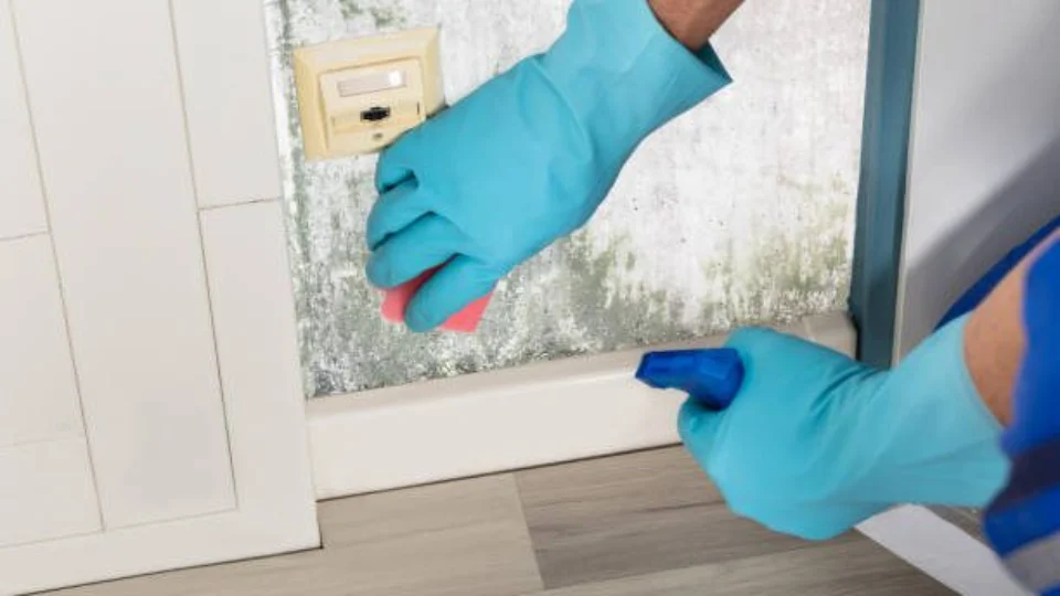 RR: Sine oferta 43 vagas de emprego nesta quarta-feira, 5