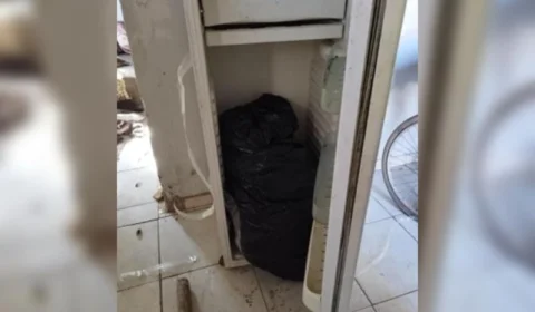 ‘Coloquei dentro da geladeira’, diz preso suspeito de matar mulher em GO