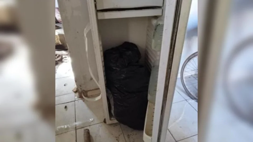 ‘Coloquei dentro da geladeira’, diz preso suspeito de matar mulher em GO