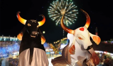 Garantido ou Caprichoso? Pesquisa aponta qual boi tem mais torcida em Manaus