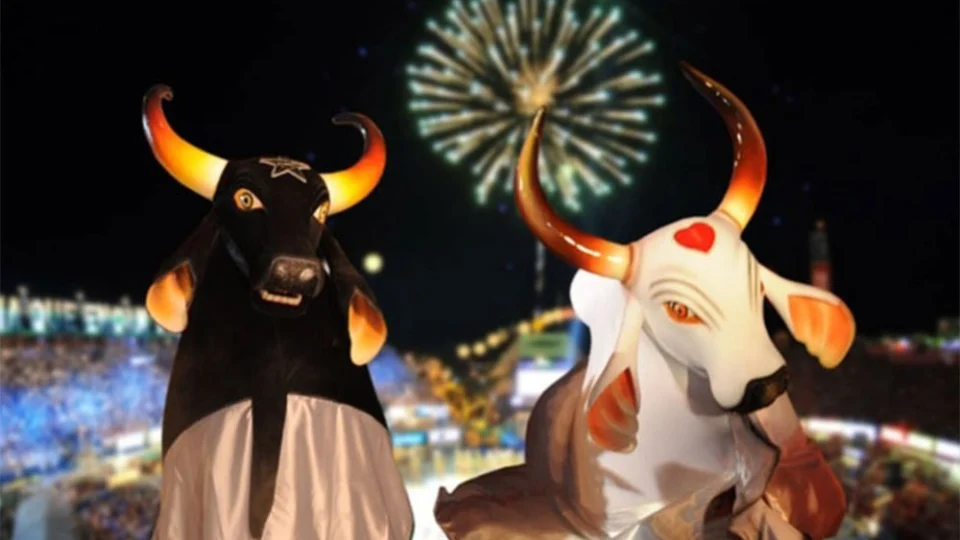 Garantido ou Caprichoso? Pesquisa aponta qual boi tem mais torcida em Manaus