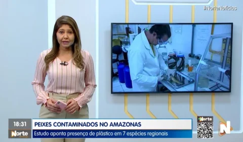 VÍDEO: assista à íntegra do Jornal Norte Notícias de 19 de julho